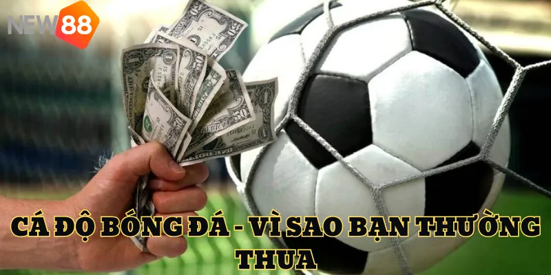 Cá Độ Bóng Đá – Vì Sao Thường Thua Và Cách Khắc Phục Hiệu Quả