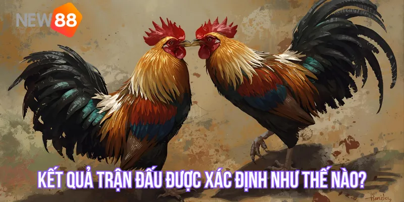 Cách xác định kết quả trận đấu