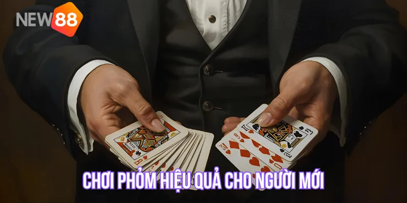 Mẹo chơi Phỏm hiệu quả cho người mới