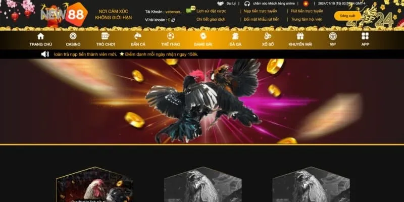 Bí kíp khi chơi Đá Gà NEW88